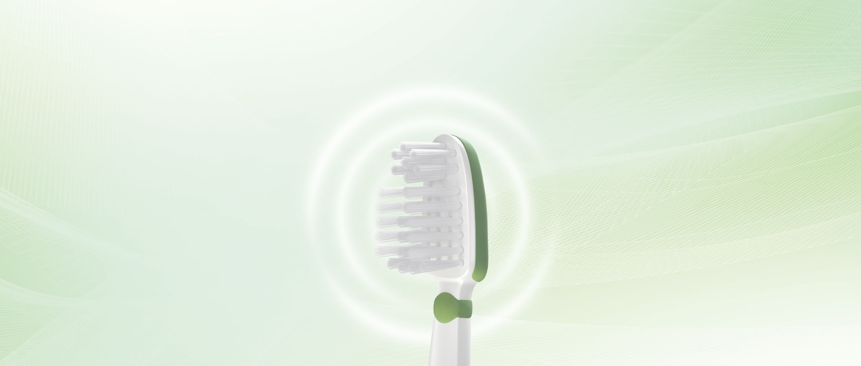 Sustainability desktop banner